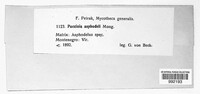 Image Associated With the Occurrence